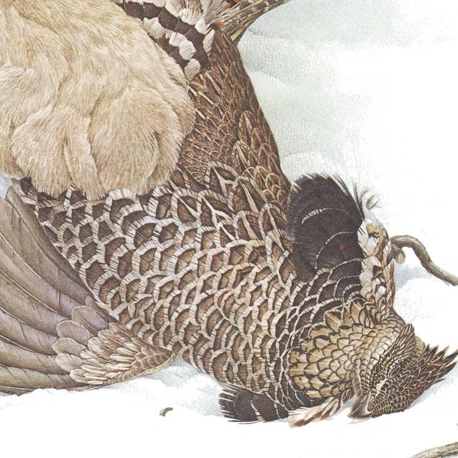 Canada Lynx with Ruffed Grouse- Framed Print | Artwork by Glen Loates