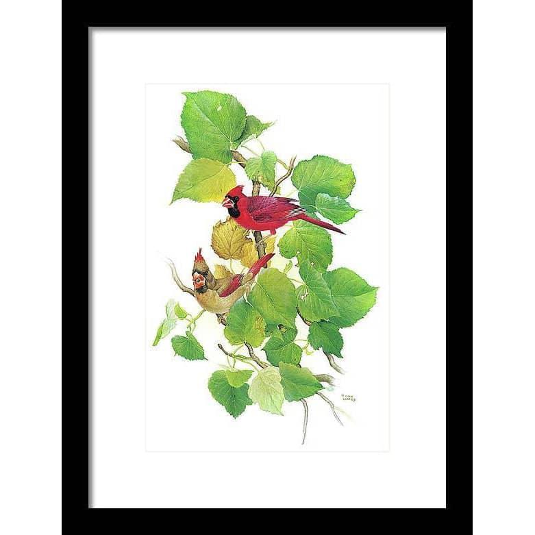 Cardinals - Framed Print | Artwork by Glen Loates