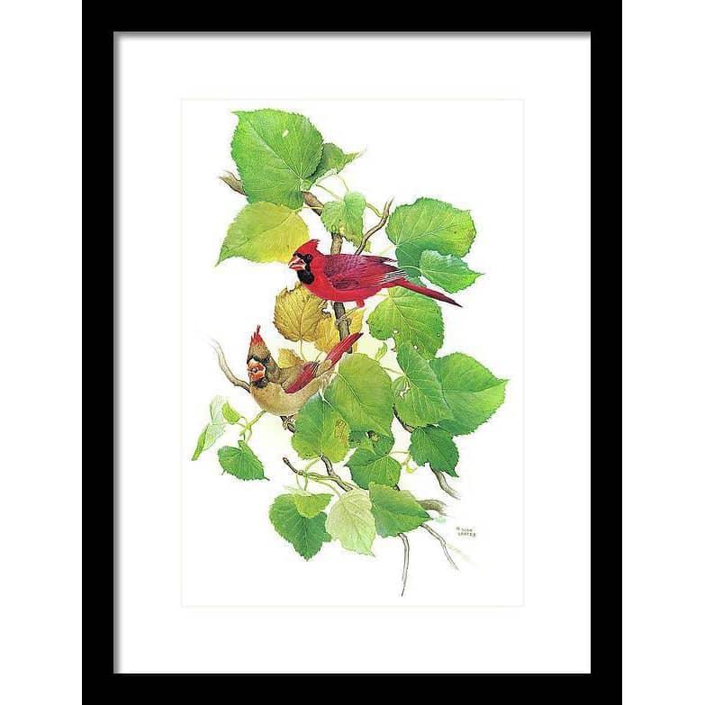 Cardinals - Framed Print | Artwork by Glen Loates