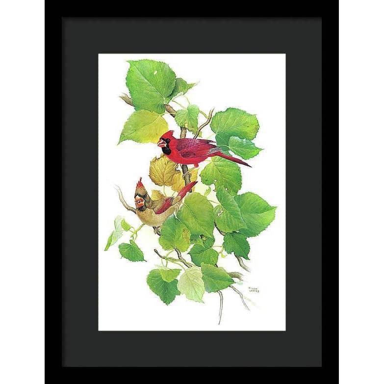 Cardinals - Framed Print | Artwork by Glen Loates