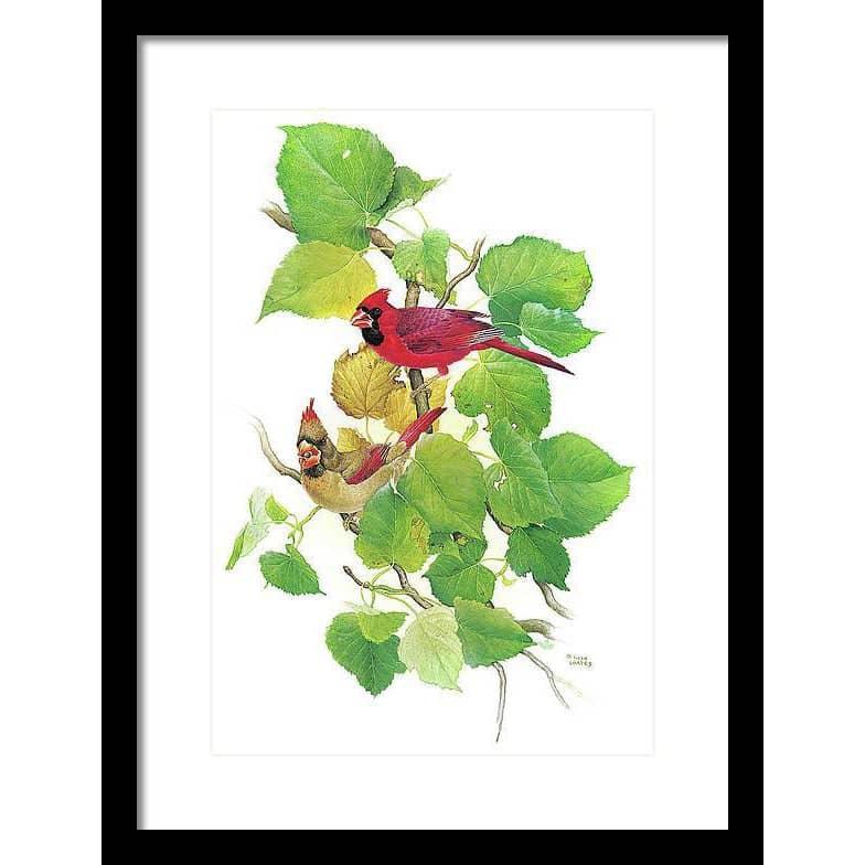 Cardinals - Framed Print | Artwork by Glen Loates