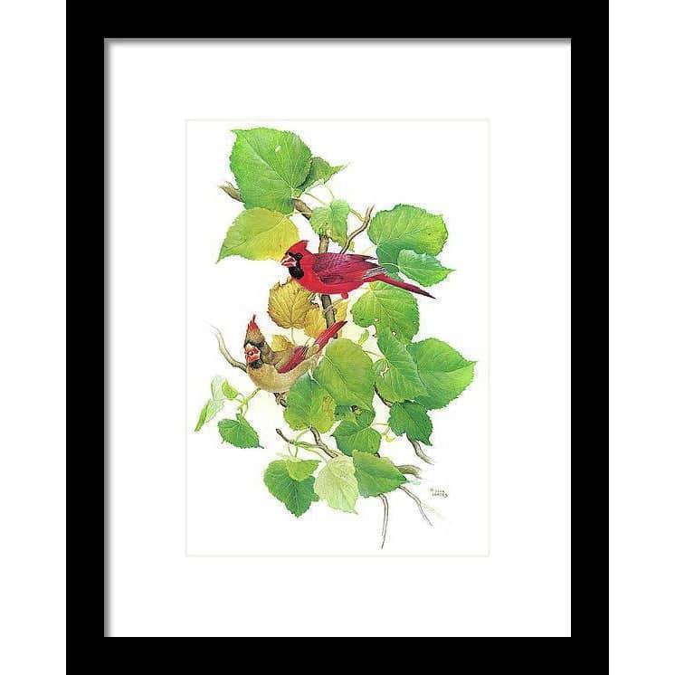 Cardinals - Framed Print | Artwork by Glen Loates