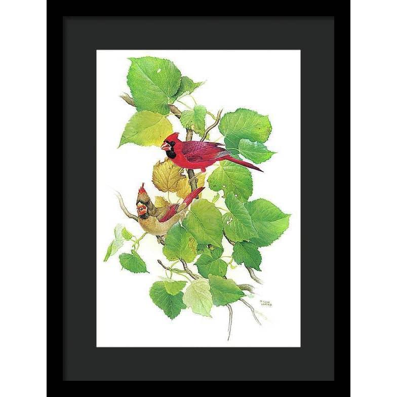 Cardinals - Framed Print | Artwork by Glen Loates