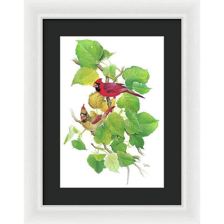 Cardinals - Framed Print | Artwork by Glen Loates