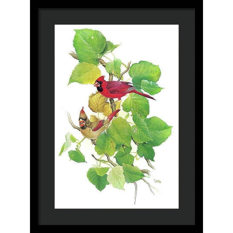 Cardinals - Framed Print | Artwork by Glen Loates