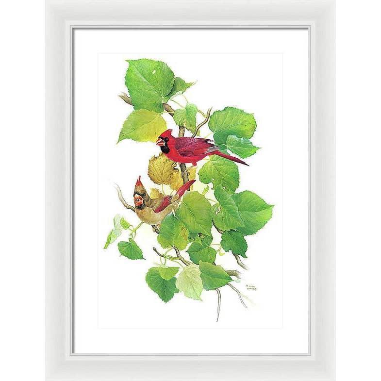Cardinals - Framed Print | Artwork by Glen Loates