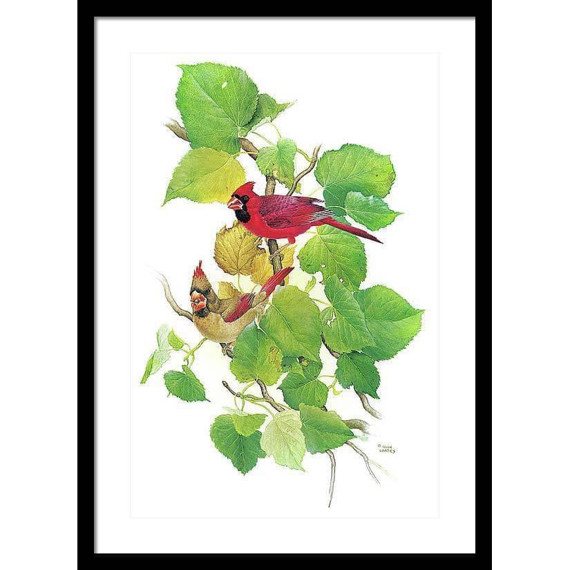 Cardinals - Framed Print | Artwork by Glen Loates