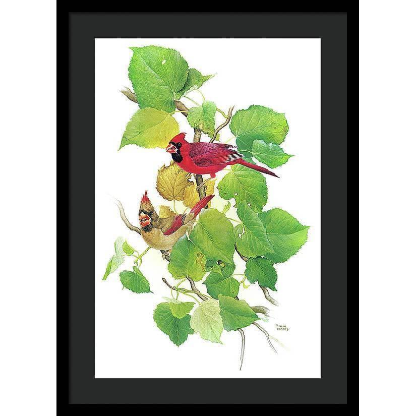 Cardinals - Framed Print | Artwork by Glen Loates