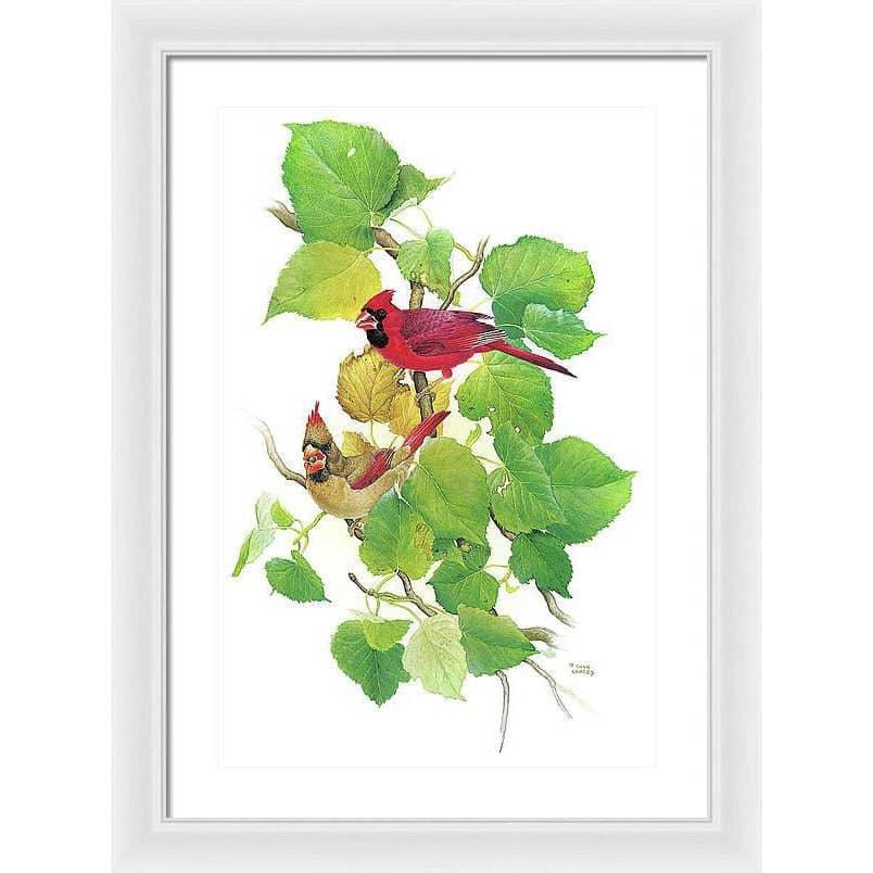 Cardinals - Framed Print | Artwork by Glen Loates