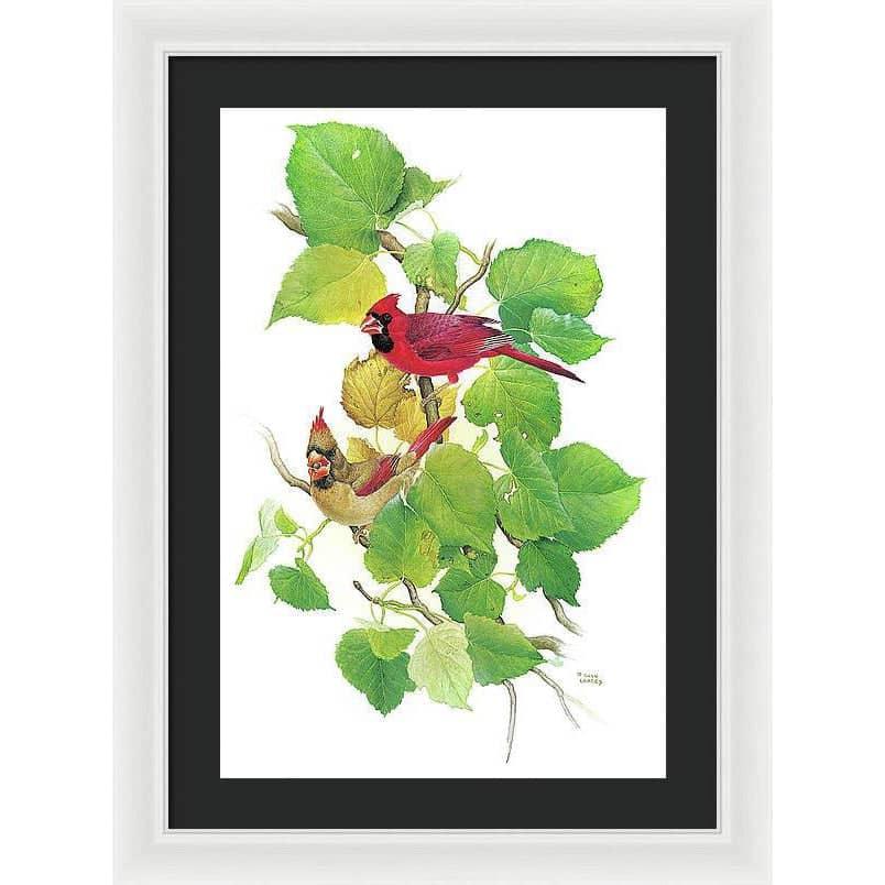 Cardinals - Framed Print | Artwork by Glen Loates