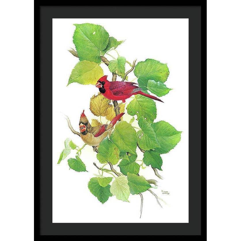 Cardinals - Framed Print | Artwork by Glen Loates