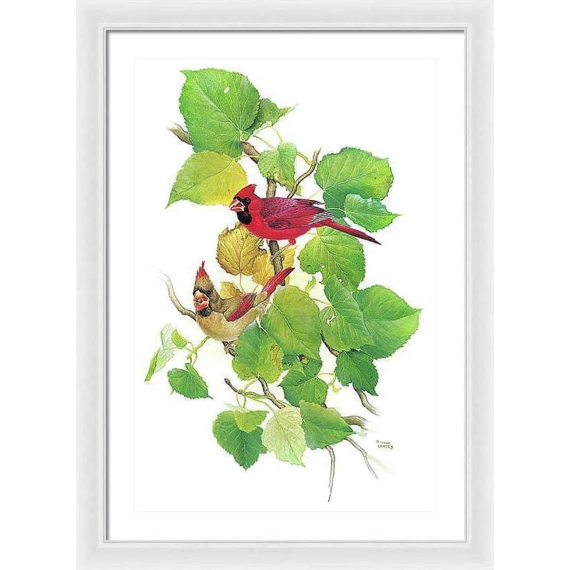 Cardinals - Framed Print | Artwork by Glen Loates