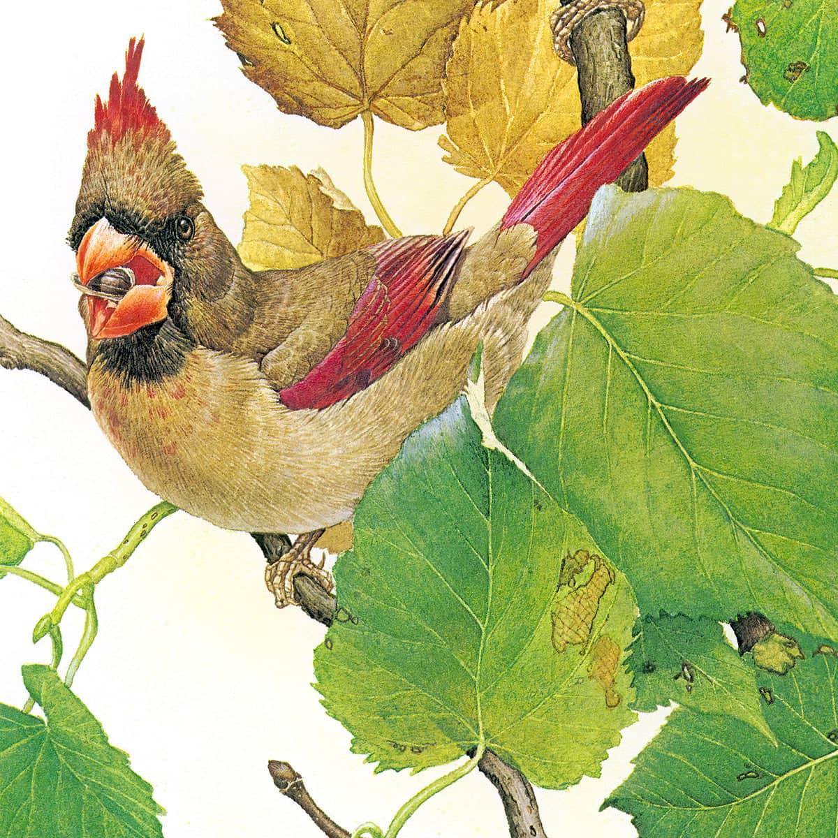 Cardinals - Framed Print | Artwork by Glen Loates
