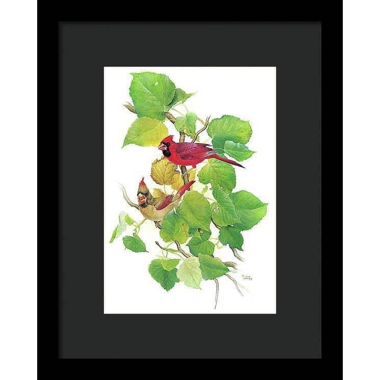Cardinals - Framed Print | Artwork by Glen Loates