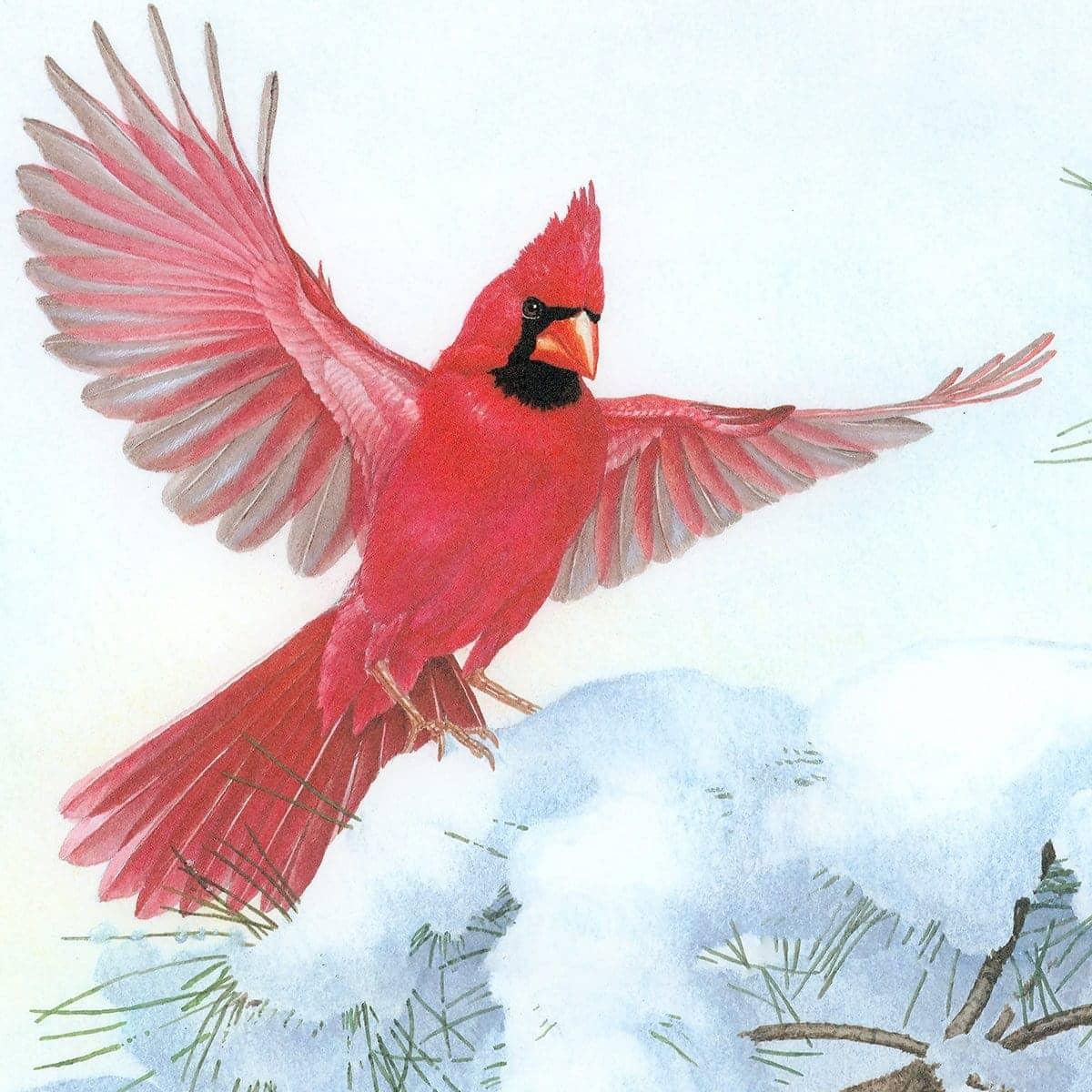 Cardinals in Snow - Canvas Print | Artwork by Glen Loates