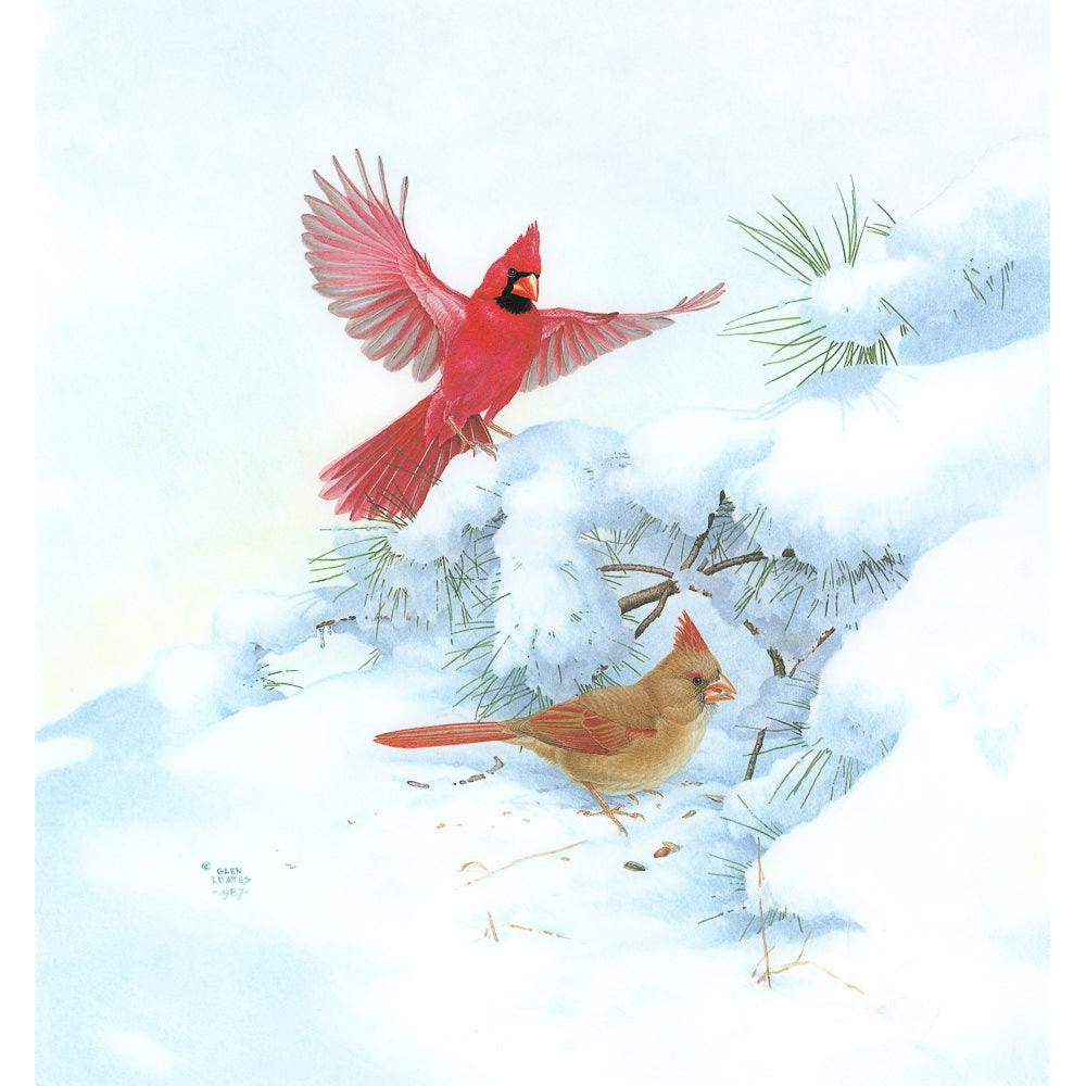 Cardinals in Snow - Canvas Print | Artwork by Glen Loates