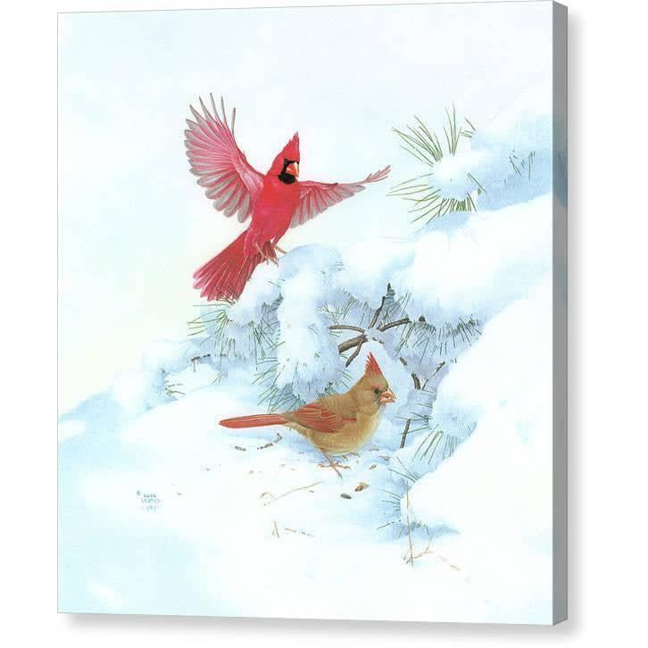 Cardinals in Snow - Canvas Print | Artwork by Glen Loates