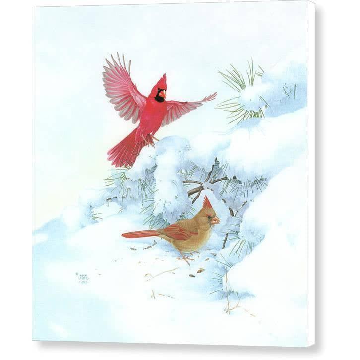 Cardinals in Snow - Canvas Print | Artwork by Glen Loates
