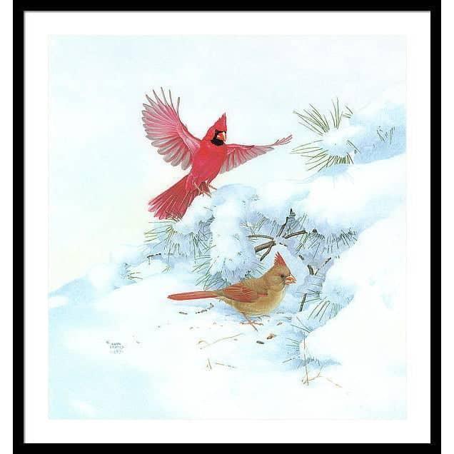 Cardinals in Snow - Framed Print | Artwork by Glen Loates