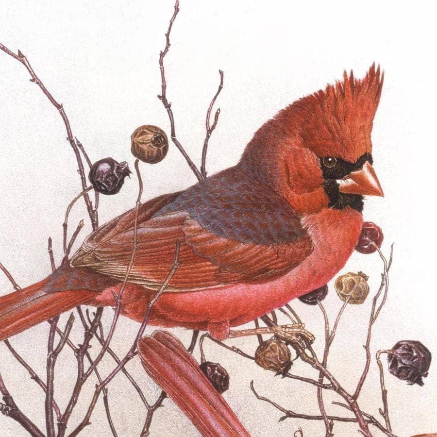 Cardinals on Rosehip Bush - Canvas Print | Artwork by Glen Loates