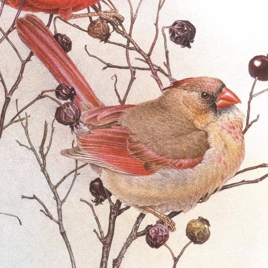 Cardinals on Rosehip Bush - Canvas Print | Artwork by Glen Loates