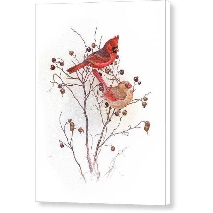 Cardinals on Rosehip Bush - Canvas Print | Artwork by Glen Loates
