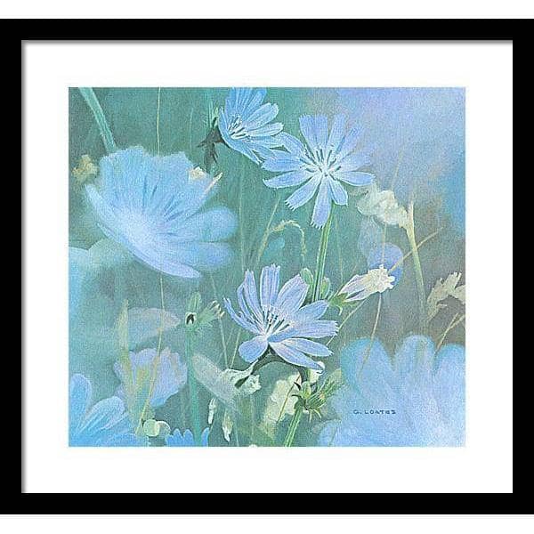 Chicories - Framed Print | Artwork by Glen Loates