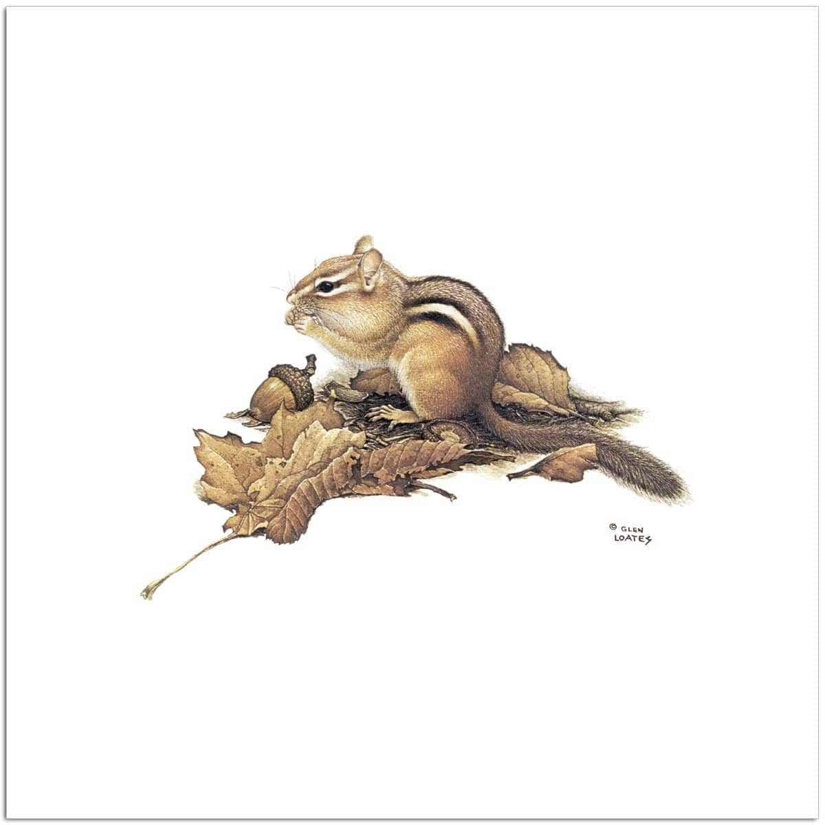 Chipmunk and Acorns - Art Print | Artwork by Glen Loates