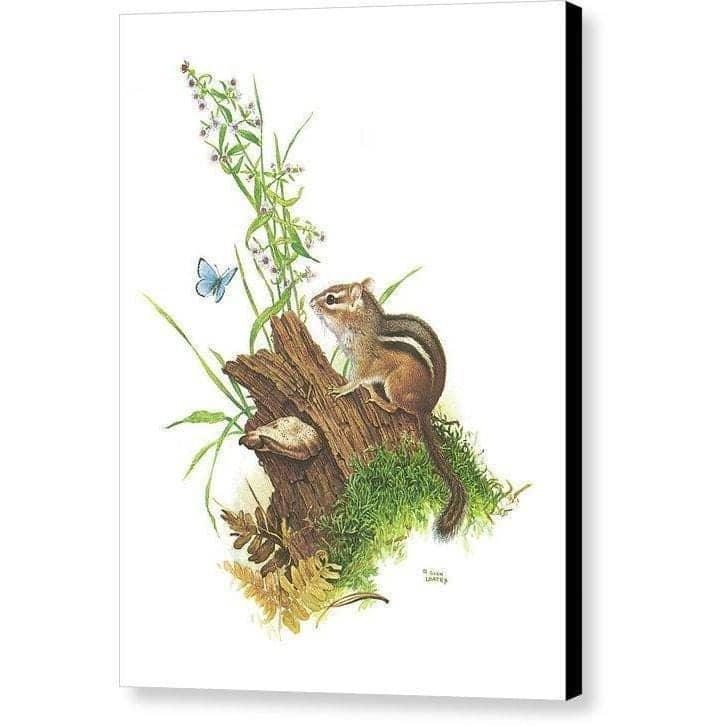 Chipmunk and Woodland Blue Butterfly - Canvas Print | Artwork by Glen Loates