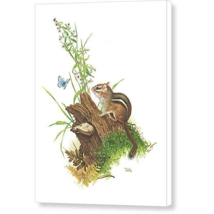 Chipmunk and Woodland Blue Butterfly - Canvas Print | Artwork by Glen Loates