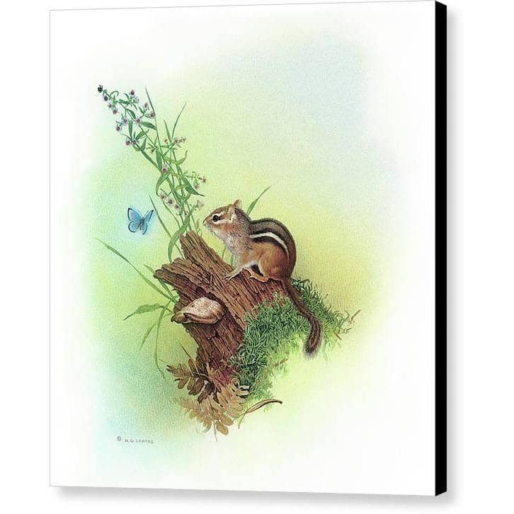 Chipmunk and Woodland Blue Butterfly Enhanced - Canvas Print | Artwork by Glen Loates