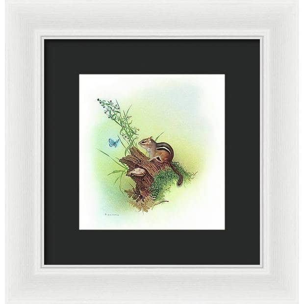 Chipmunk and Woodland Blue Butterfly Enhanced - Framed Print | Artwork by Glen Loates
