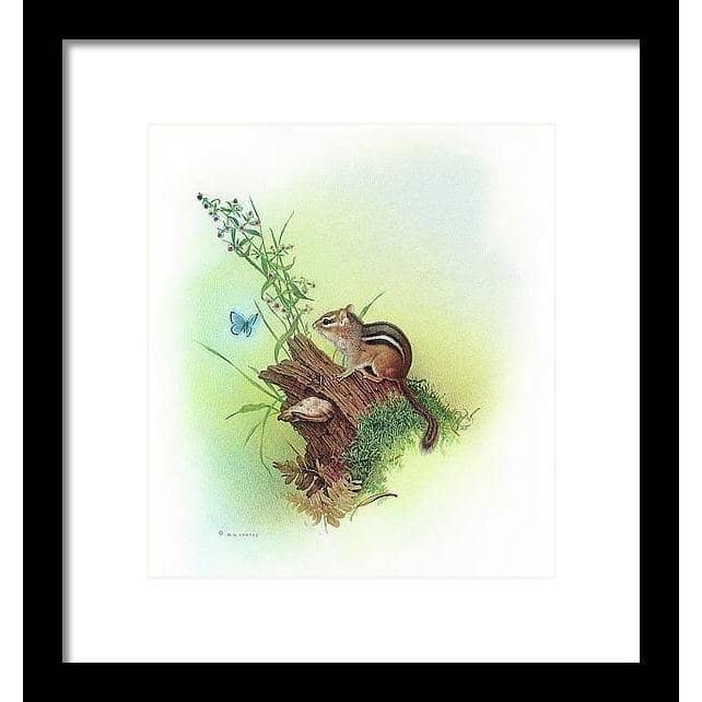 Chipmunk and Woodland Blue Butterfly Enhanced - Framed Print | Artwork by Glen Loates