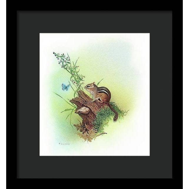 Chipmunk and Woodland Blue Butterfly Enhanced - Framed Print | Artwork by Glen Loates
