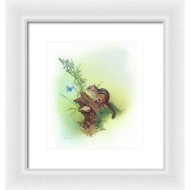 Chipmunk and Woodland Blue Butterfly Enhanced - Framed Print | Artwork by Glen Loates