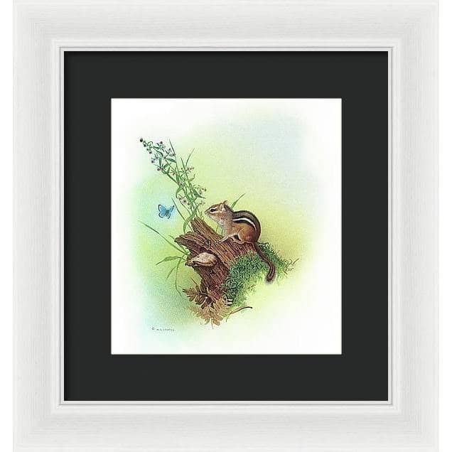 Chipmunk and Woodland Blue Butterfly Enhanced - Framed Print | Artwork by Glen Loates