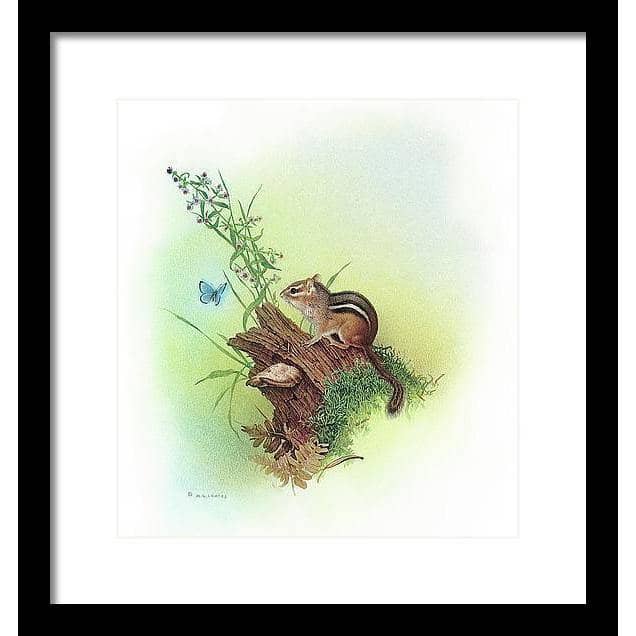 Chipmunk and Woodland Blue Butterfly Enhanced - Framed Print | Artwork by Glen Loates