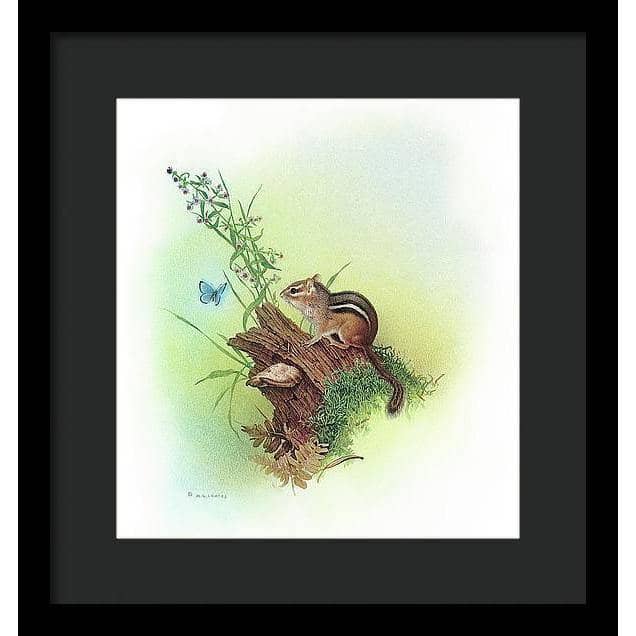 Chipmunk and Woodland Blue Butterfly Enhanced - Framed Print | Artwork by Glen Loates