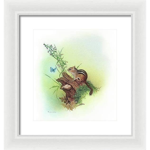 Chipmunk and Woodland Blue Butterfly Enhanced - Framed Print | Artwork by Glen Loates