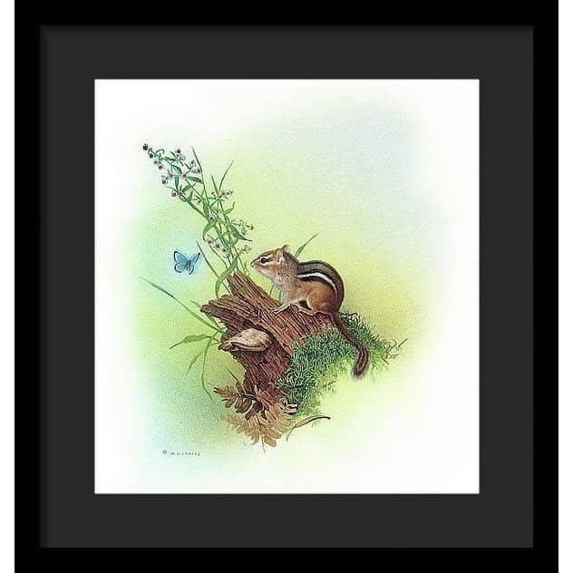 Chipmunk and Woodland Blue Butterfly Enhanced - Framed Print | Artwork by Glen Loates