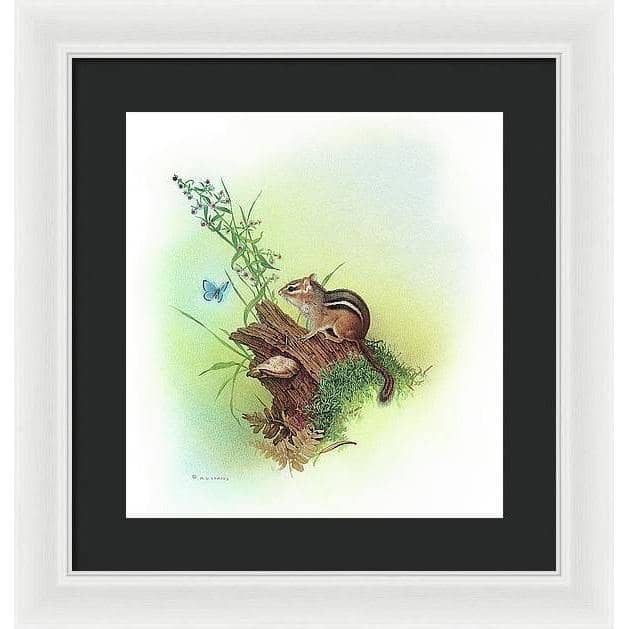 Chipmunk and Woodland Blue Butterfly Enhanced - Framed Print | Artwork by Glen Loates