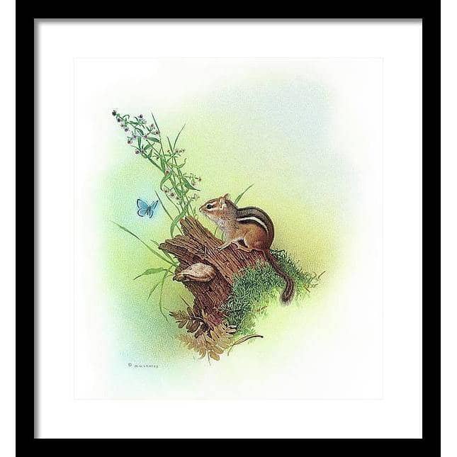Chipmunk and Woodland Blue Butterfly Enhanced - Framed Print | Artwork by Glen Loates