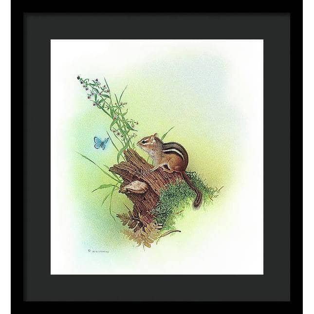 Chipmunk and Woodland Blue Butterfly Enhanced - Framed Print | Artwork by Glen Loates