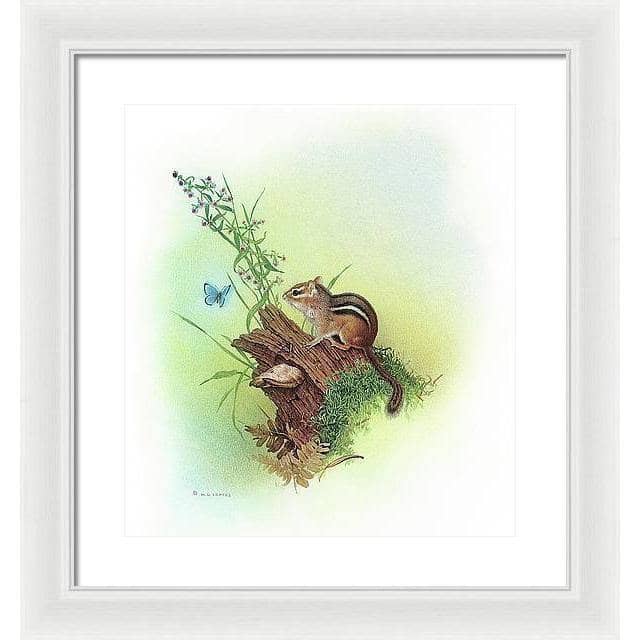 Chipmunk and Woodland Blue Butterfly Enhanced - Framed Print | Artwork by Glen Loates