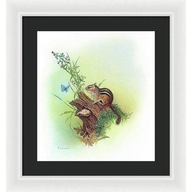 Chipmunk and Woodland Blue Butterfly Enhanced - Framed Print | Artwork by Glen Loates