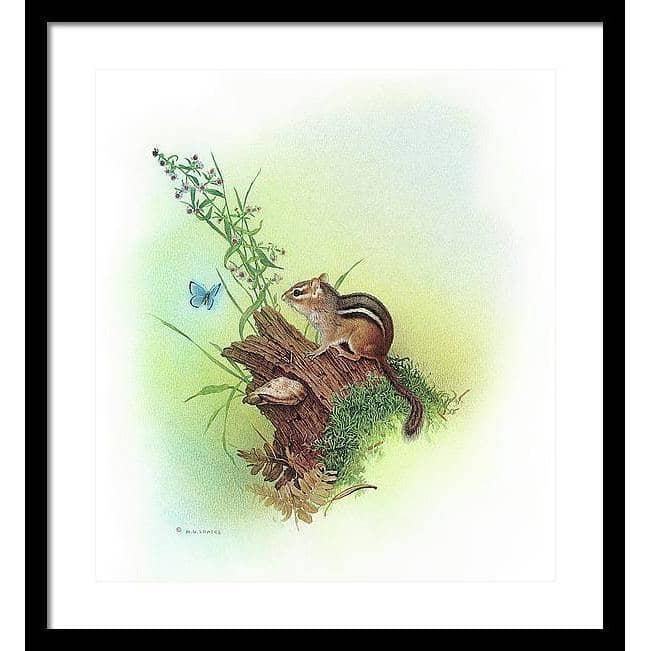 Chipmunk and Woodland Blue Butterfly Enhanced - Framed Print | Artwork by Glen Loates
