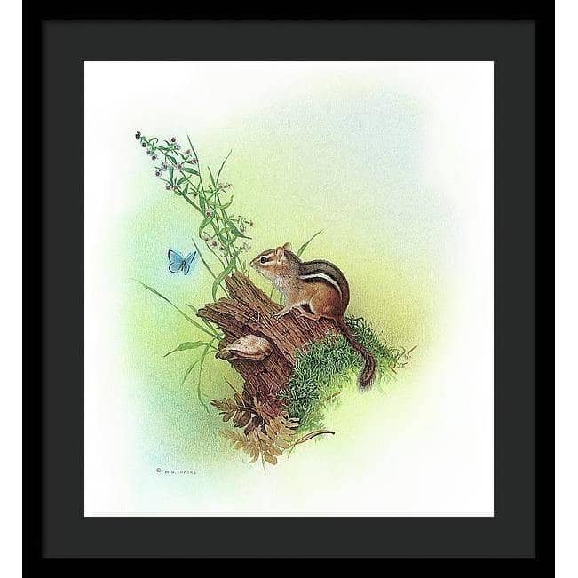 Chipmunk and Woodland Blue Butterfly Enhanced - Framed Print | Artwork by Glen Loates