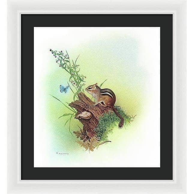 Chipmunk and Woodland Blue Butterfly Enhanced - Framed Print | Artwork by Glen Loates