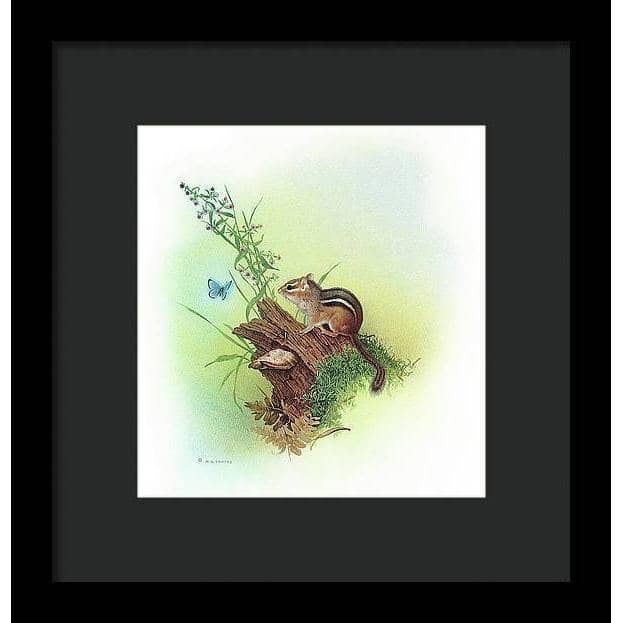 Chipmunk and Woodland Blue Butterfly Enhanced - Framed Print | Artwork by Glen Loates