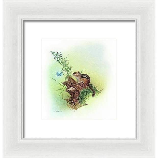 Chipmunk and Woodland Blue Butterfly Enhanced - Framed Print | Artwork by Glen Loates